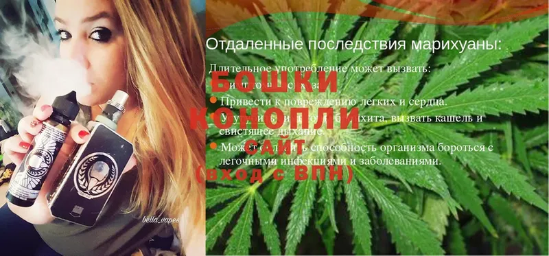 Бошки марихуана THC 21%  Богучар 